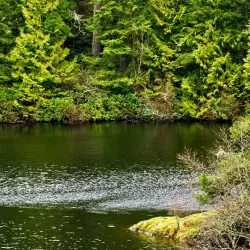 Anacortes Community Forest Lands - Anacortes