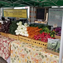 Anacortes Farmers Market - Anacortes