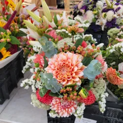 Anacortes Farmers Market - Anacortes