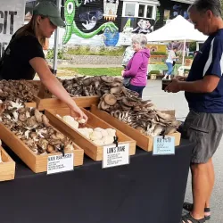 Anacortes Farmers Market - Anacortes