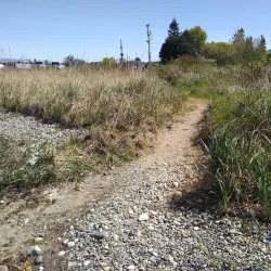 Anacortes Waterfront - Anacortes