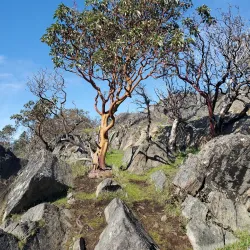 Cap Sante Park - Anacortes