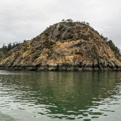 Cap Sante Park - Anacortes