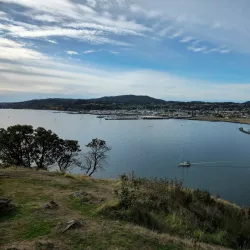 Cap Sante Park - Anacortes