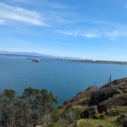 Cap Sante Park - Anacortes