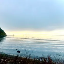 Cap Sante Park - Anacortes