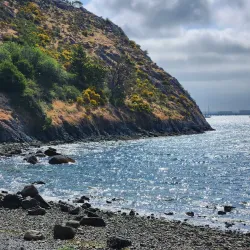 Cap Sante Park - Anacortes