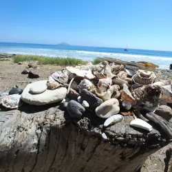 Smugglers Cove Marine Preserve - Anacortes