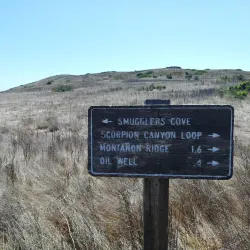 Smugglers Cove Marine Preserve - Anacortes