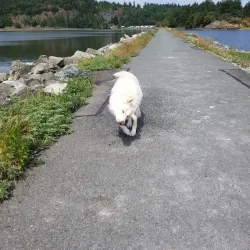 Tommy Thompson Trail - Anacortes
