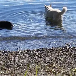 Tommy Thompson Trail - Anacortes