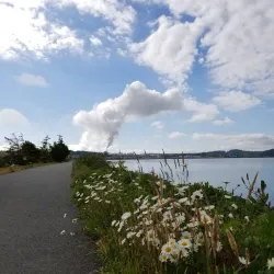 Tommy Thompson Trail - Anacortes