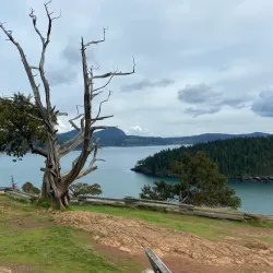 Washington Park - Anacortes