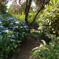 Auburn Botanical Gardens - Auburn