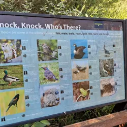 Auburn Environmental Park - Auburn