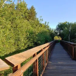 Auburn Environmental Park - Auburn