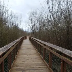 Auburn Environmental Park - Auburn