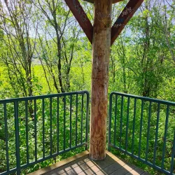 Auburn Environmental Park - Auburn