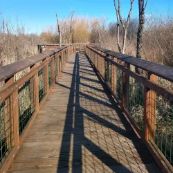 Auburn Environmental Park - Auburn
