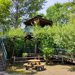 Auburn Environmental Park - Auburn