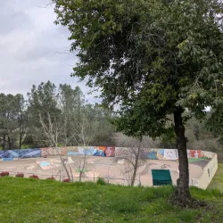 Auburn Skate Park - Auburn