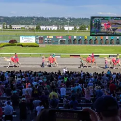 Emerald Downs - Auburn