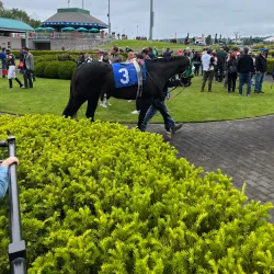Emerald Downs - Auburn