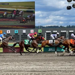 Emerald Downs - Auburn