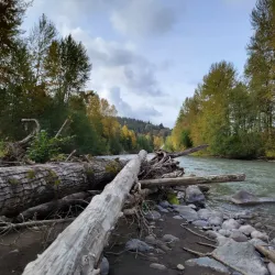 Game Farm Park - Auburn