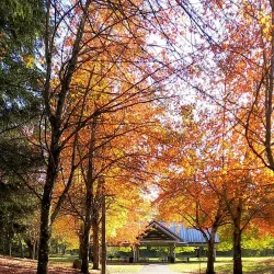 Game Farm Park - Auburn