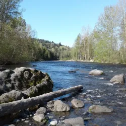 Game Farm Park - Auburn