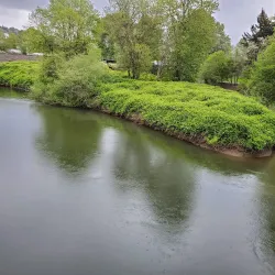 Green River Trail - Auburn