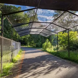 Green River Trail - Auburn