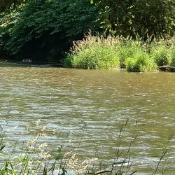 Green River Trail - Auburn