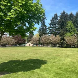 Les Gove Park - Auburn