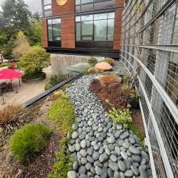 Bainbridge Island Museum of Art - Bainbridge Island