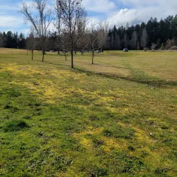 Battle Point Park - Bainbridge Island