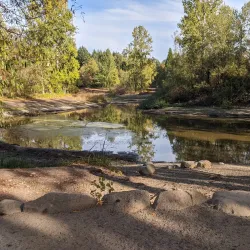 Battle Point Park - Bainbridge Island