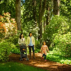 Bloedel Reserve - Bainbridge Island