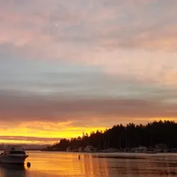 Eagle Harbor - Bainbridge Island