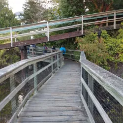 Eagle Harbor - Bainbridge Island