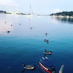 Eagle Harbor - Bainbridge Island