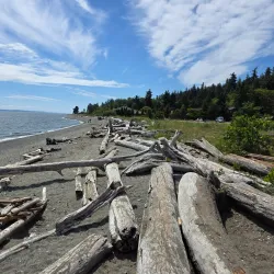 Fay Bainbridge Park - Bainbridge Island