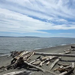 Fay Bainbridge Park - Bainbridge Island