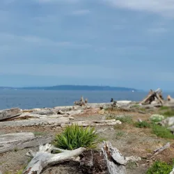 Fay Bainbridge Park - Bainbridge Island
