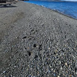Fay Bainbridge Park - Bainbridge Island