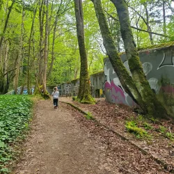 Fort Ward Park - Bainbridge Island