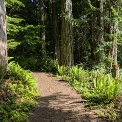 Fort Ward Park - Bainbridge Island