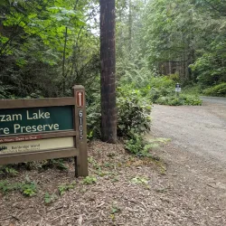 Gazzam Lake Nature Preserve - Bainbridge Island