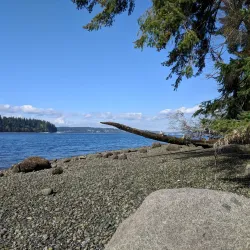 Gazzam Lake Nature Preserve - Bainbridge Island